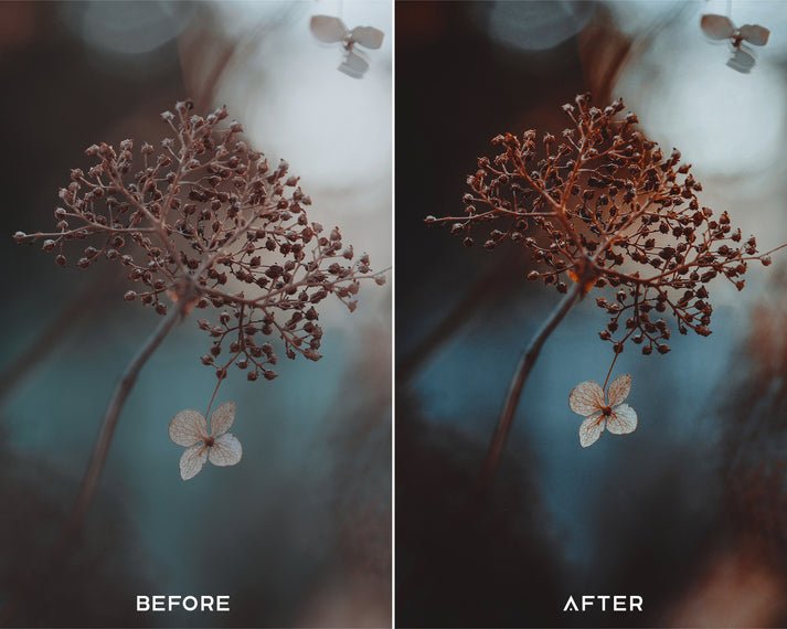 Dark Brown - Luminar NEO Presets - Presets.io