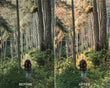 Tenefire Preset Collection - Presets.io
