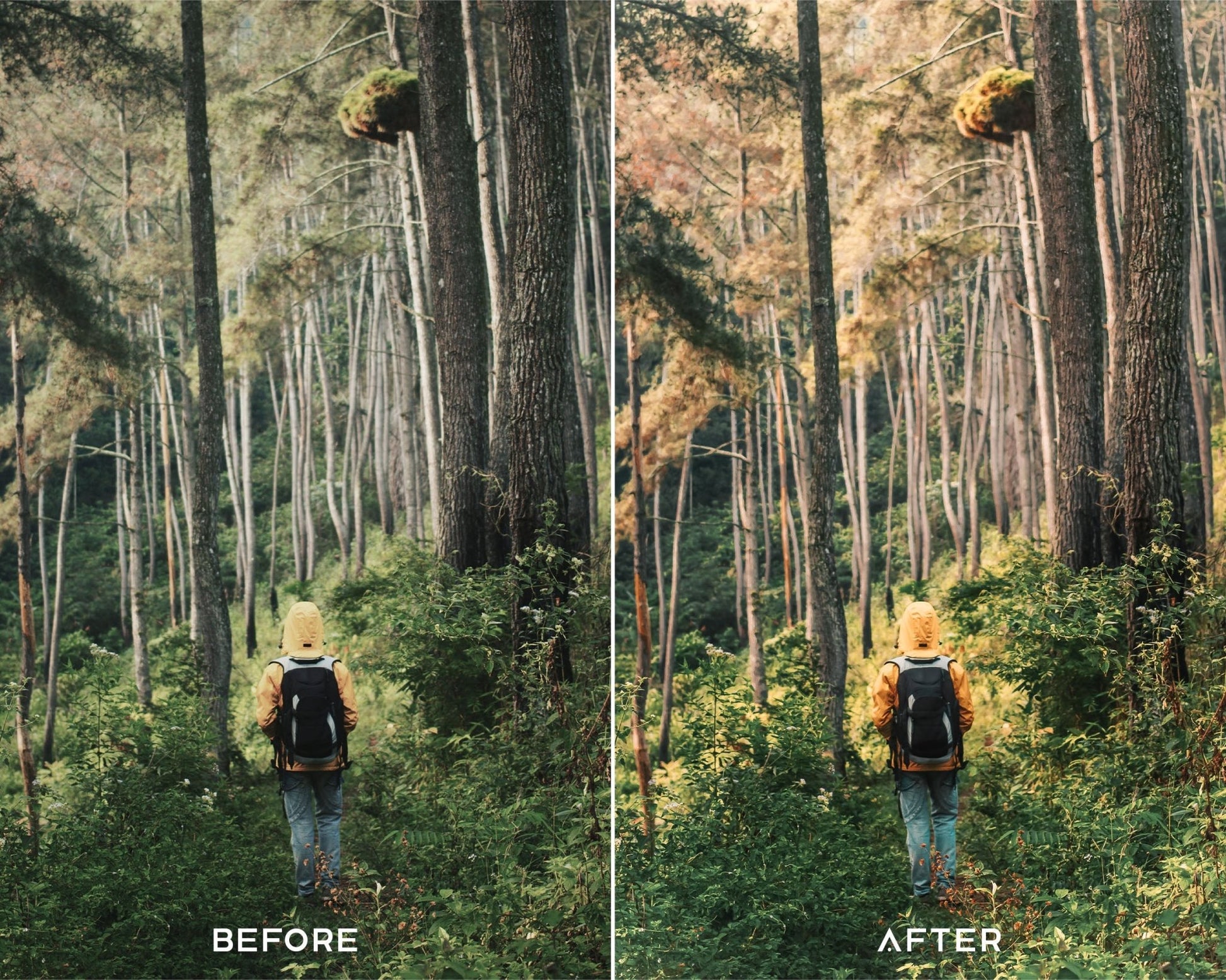 Tenefire Preset Collection - Presets.io