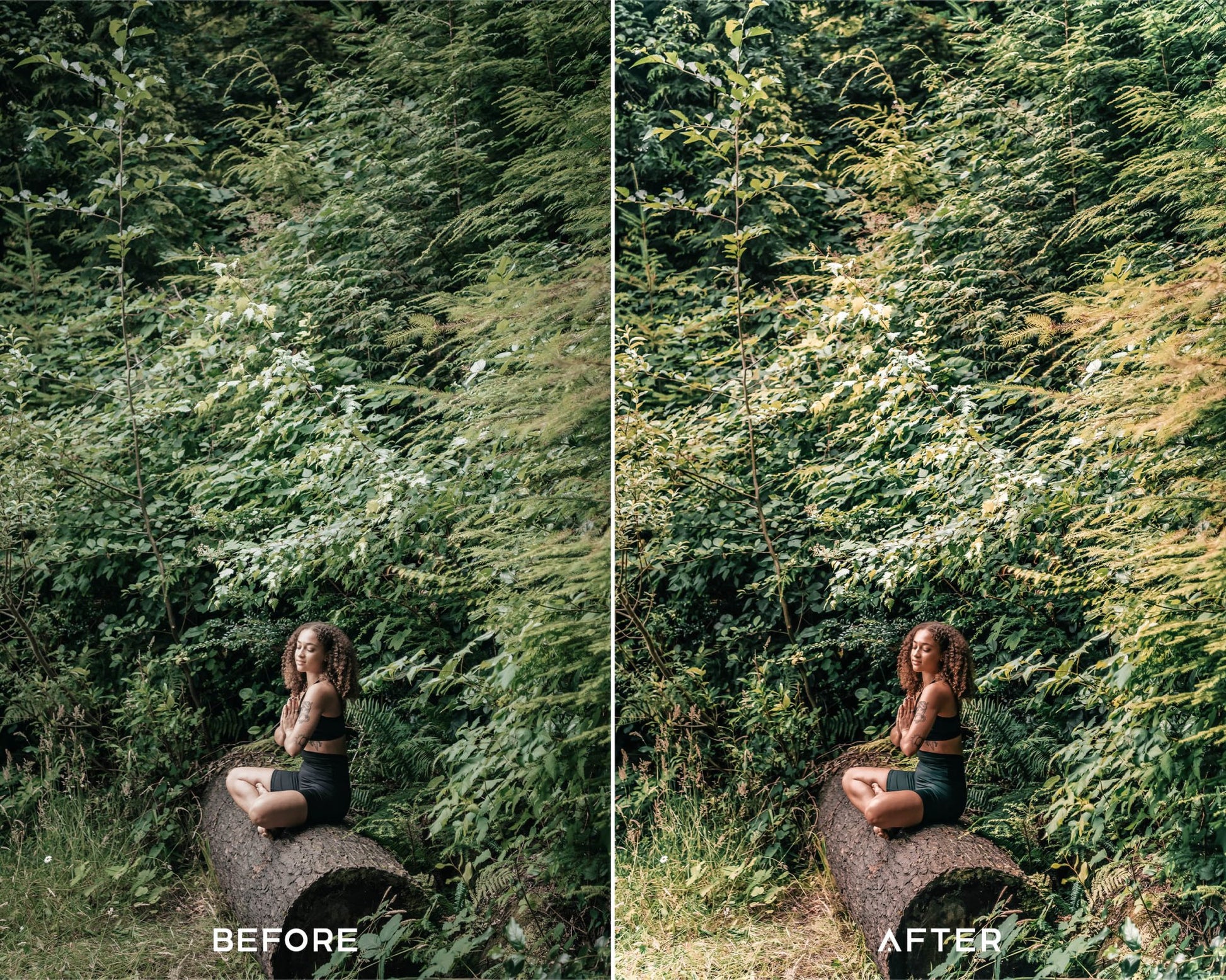 Tenefire Preset Collection - Presets.io