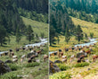 Tenefire Preset Collection - Presets.io