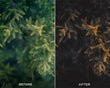 Dark Brown - Luminar NEO Presets - Presets.io