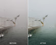 Film II Capture One Styles Collection - Presets.io