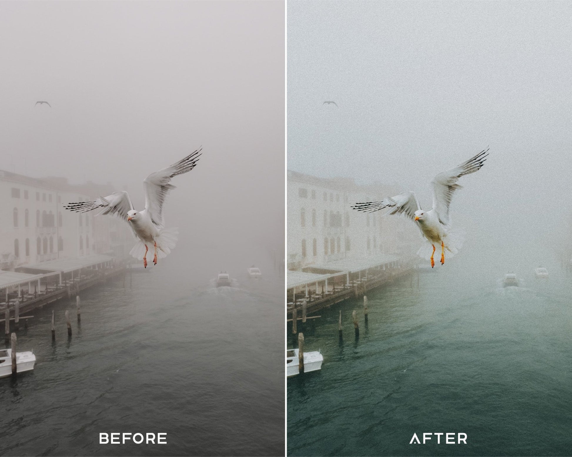 Film II Capture One Styles Collection - Presets.io