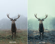 Deep Moody Capture One Styles Collection - Presets.io