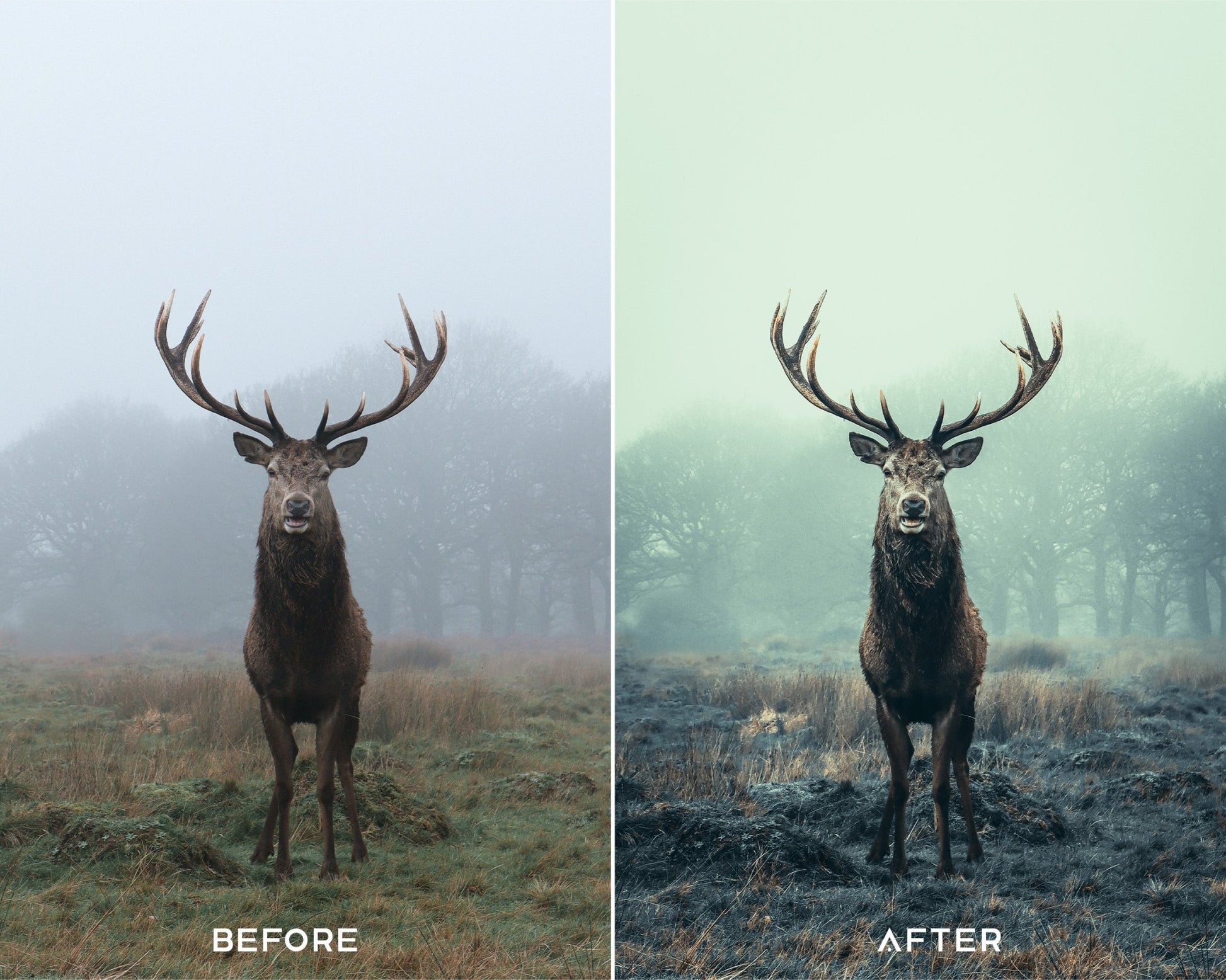 Deep Moody Capture One Styles Collection - Presets.io
