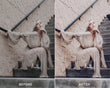 Boho Vibe - Luminar NEO Presets - Presets.io