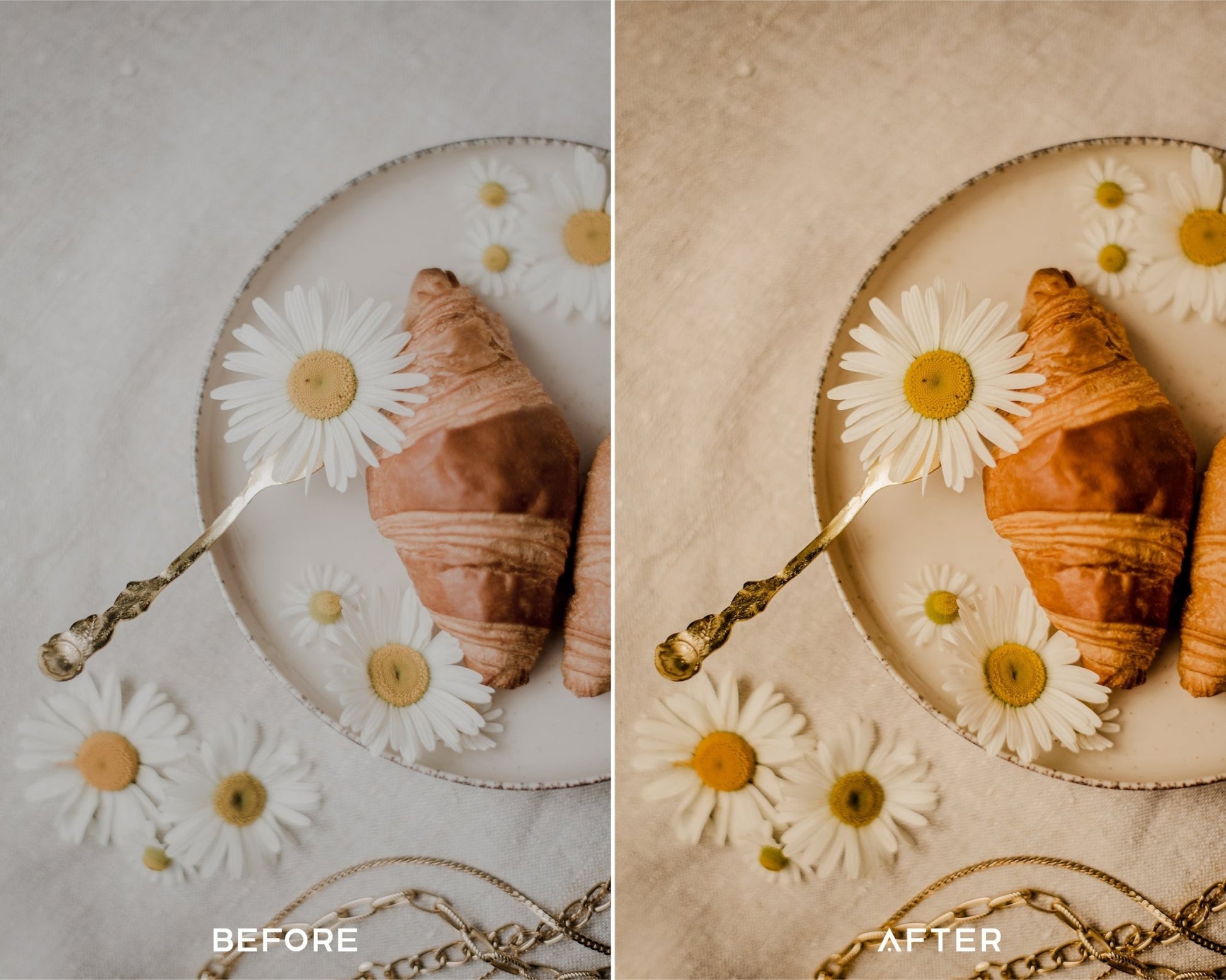 Product Capture One Styles Collection - Presets.io