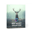 Deep Moody Capture One Styles Collection - Presets.io