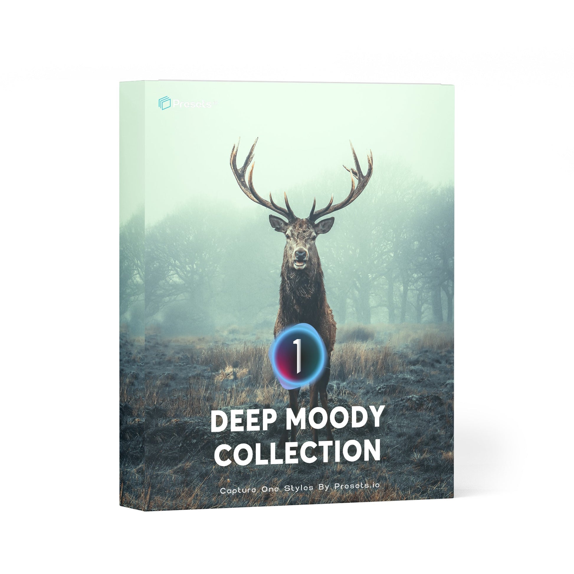 Deep Moody Capture One Styles Collection - Presets.io