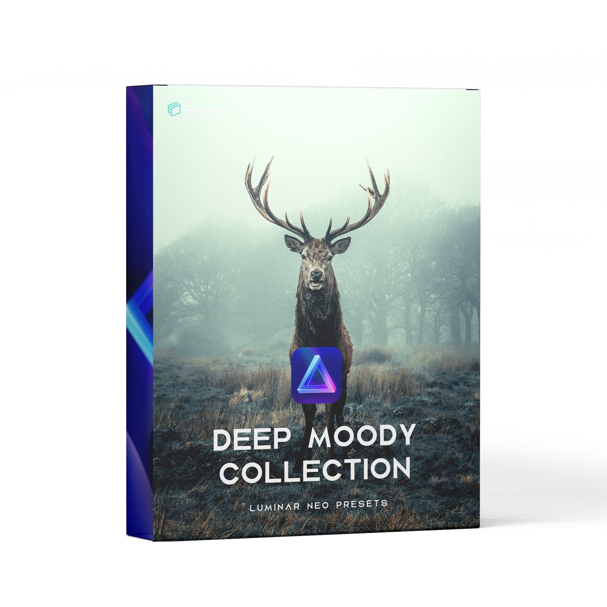 Deep Moody - Luminar NEO Presets - Presets.io
