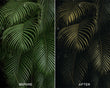 Explore - Luminar NEO Presets - Presets.io