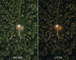 Explore - Luminar NEO Presets - Presets.io
