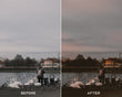 Dark Academia Preset Collection - Presets.io