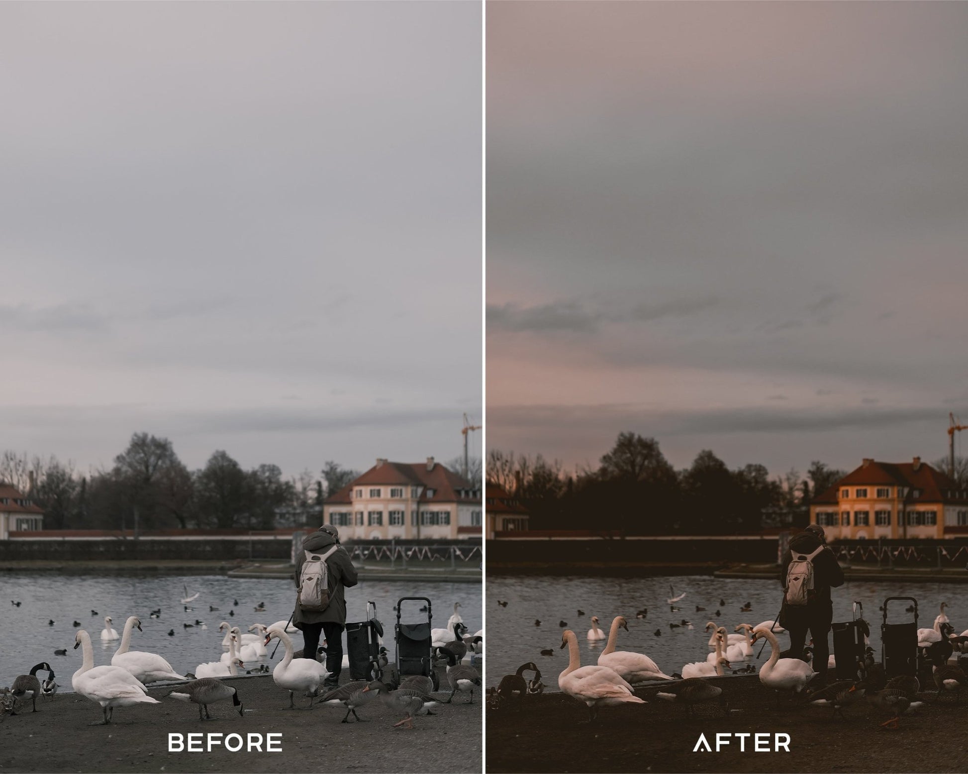 Dark Academia Preset Collection - Presets.io