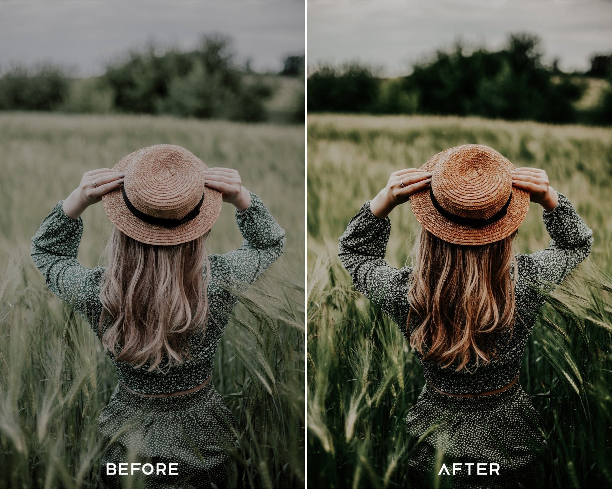 Earthy Preset Collection - Presets.io