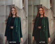 Moody Brunette Preset Collection - Presets.io