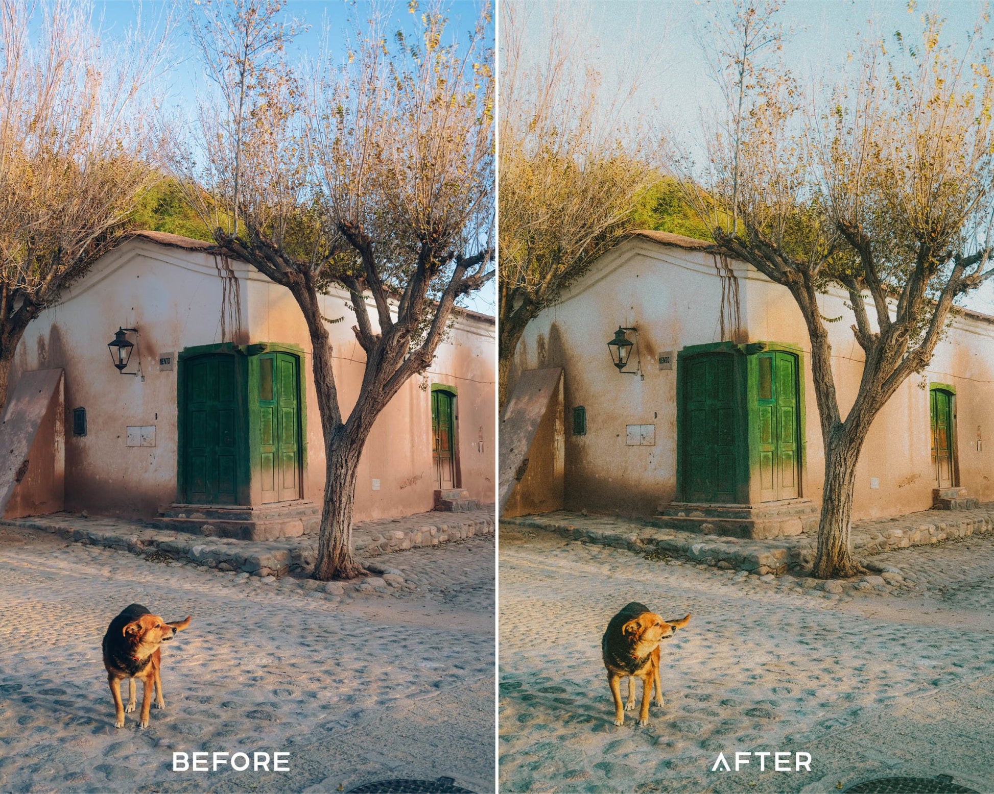 35MM Film Preset Collection - Presets.io