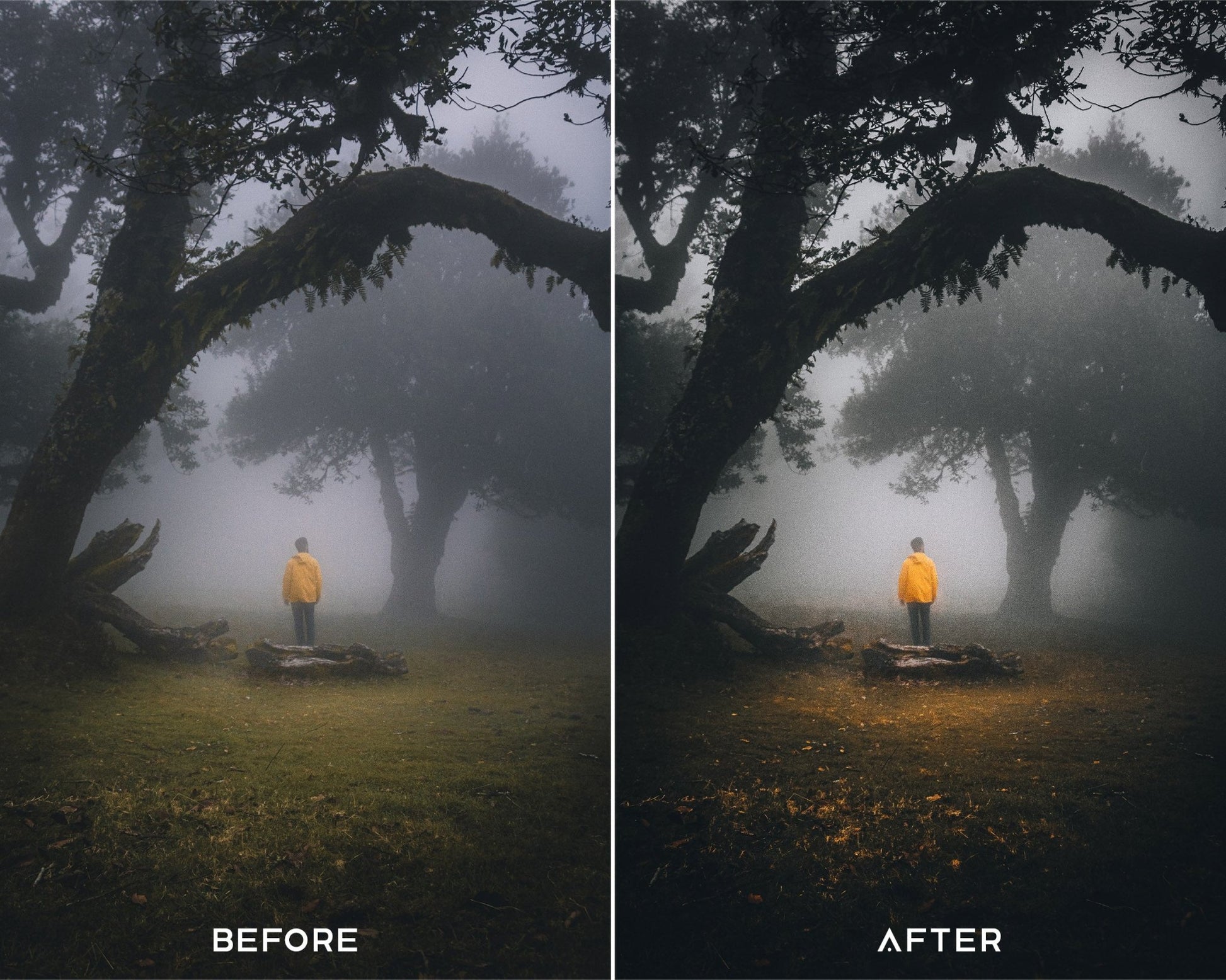 Cinematic Preset Collection - Presets.io