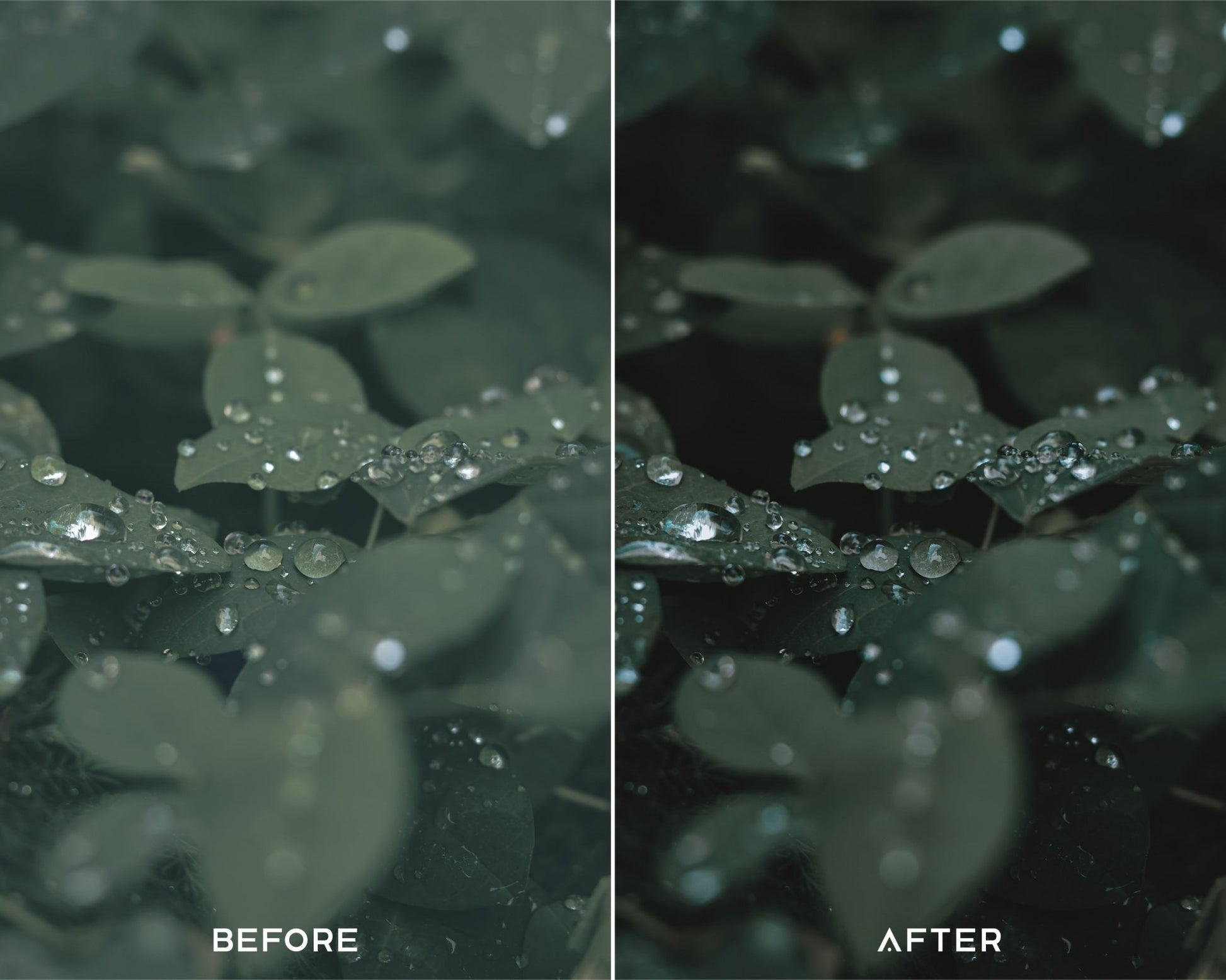 Cinematic Green Preset Collection - Presets.io