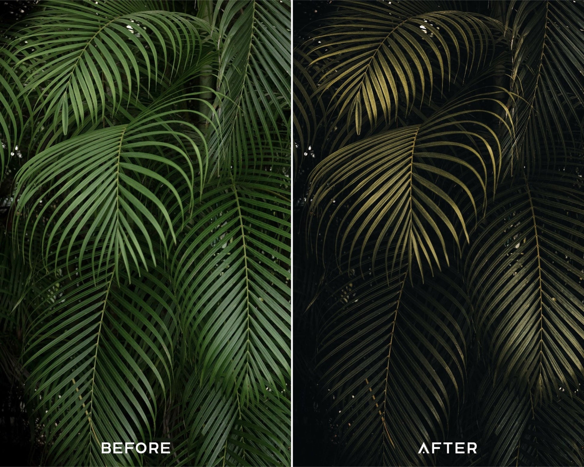 Explore Preset Collection - Presets.io