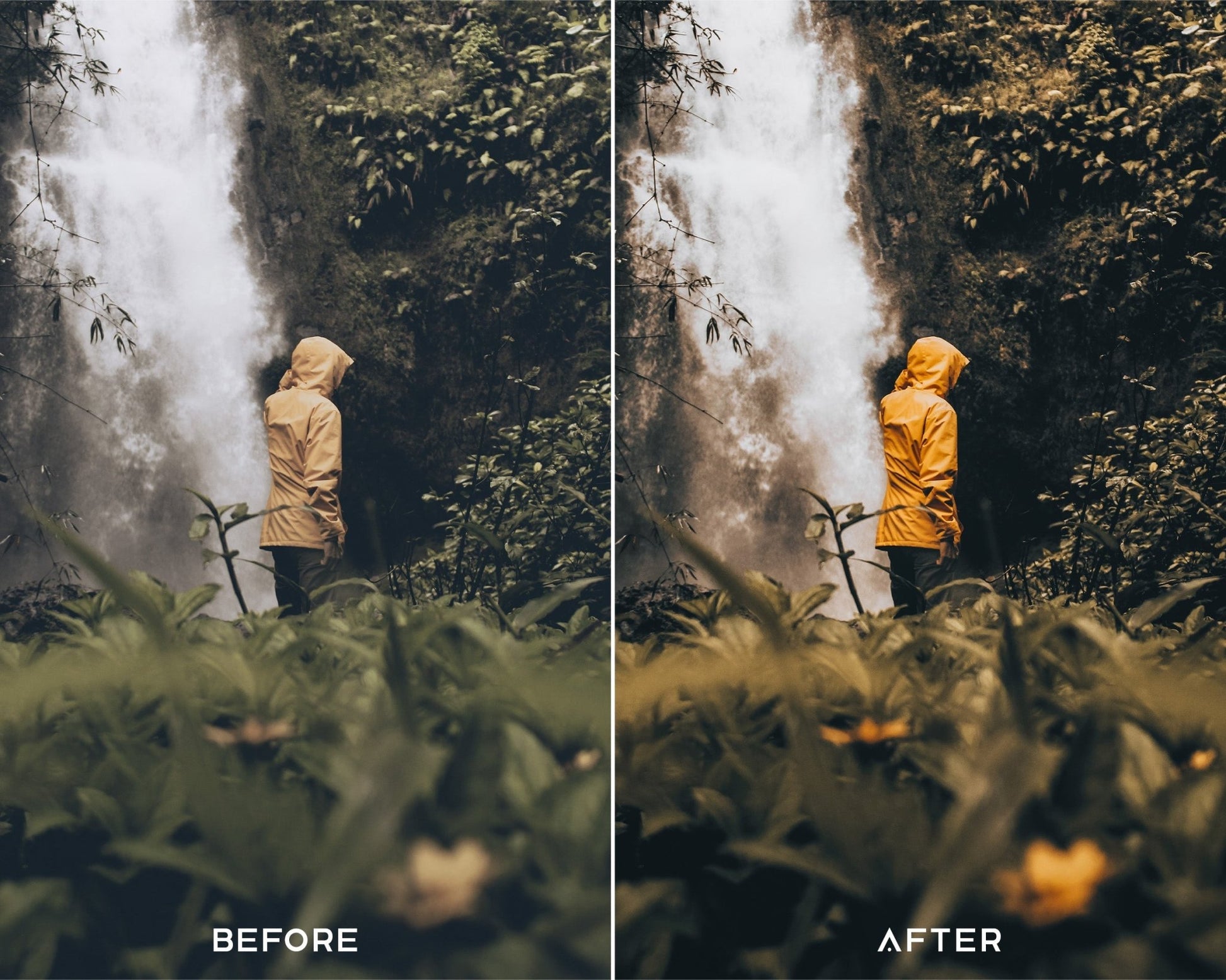 Explore Preset Collection - Presets.io