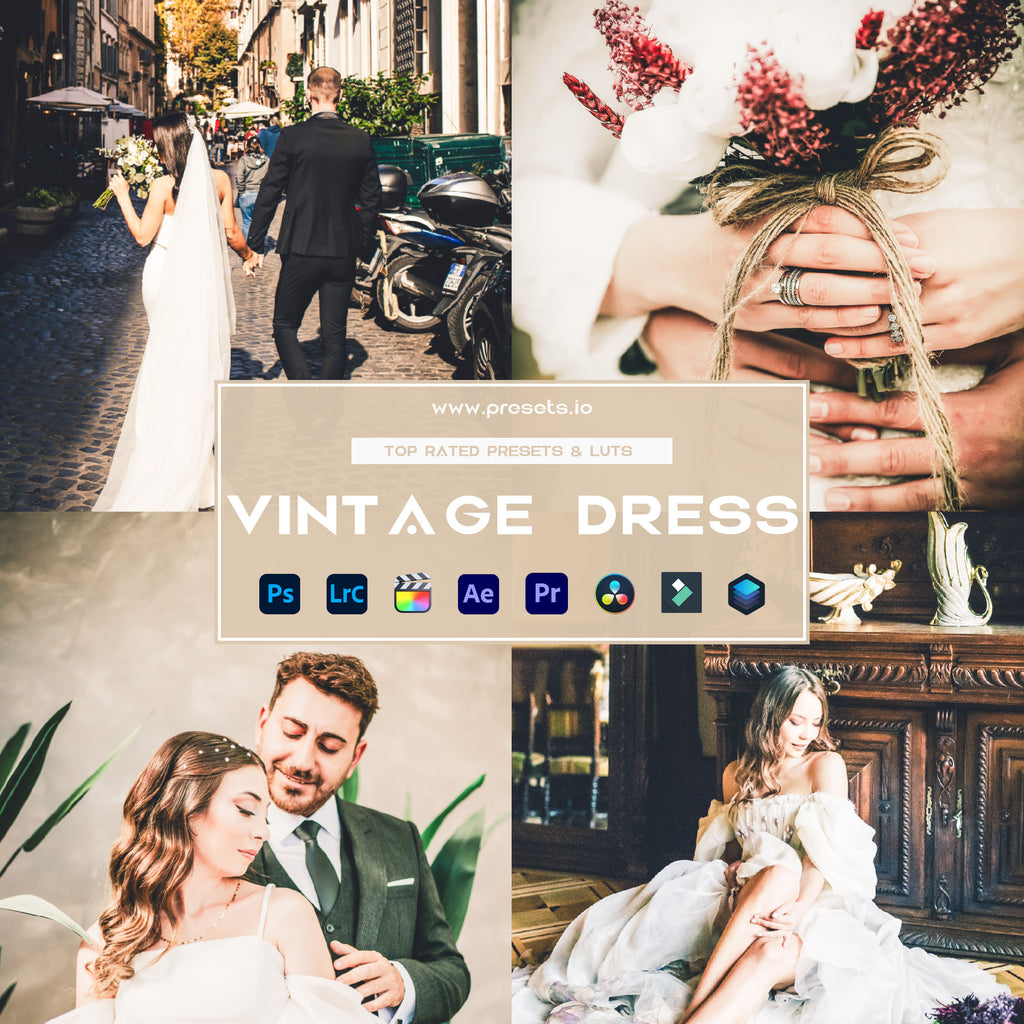 Vintage Dress Preset Collection