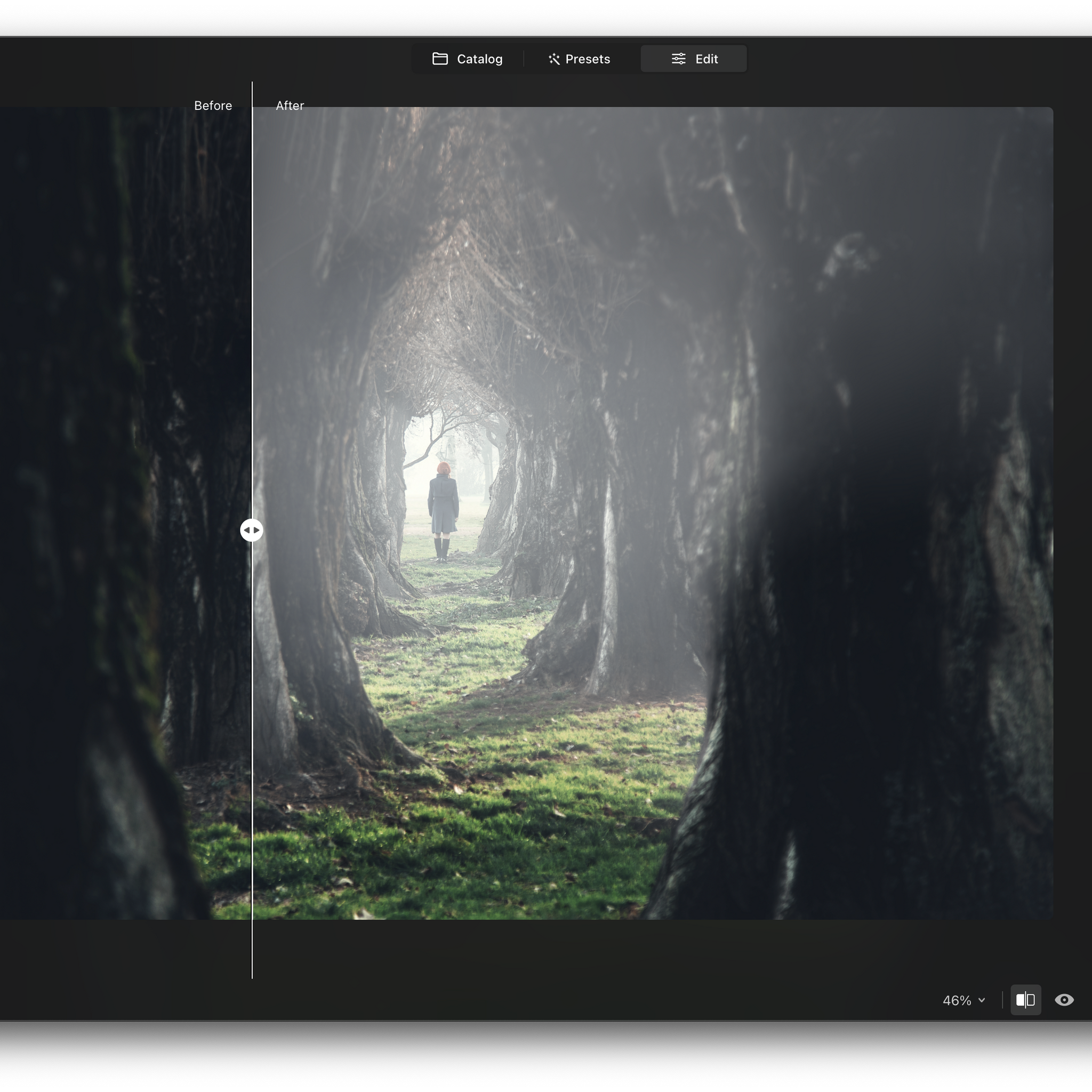 Luminar NEO Perpetual Desktop Software
