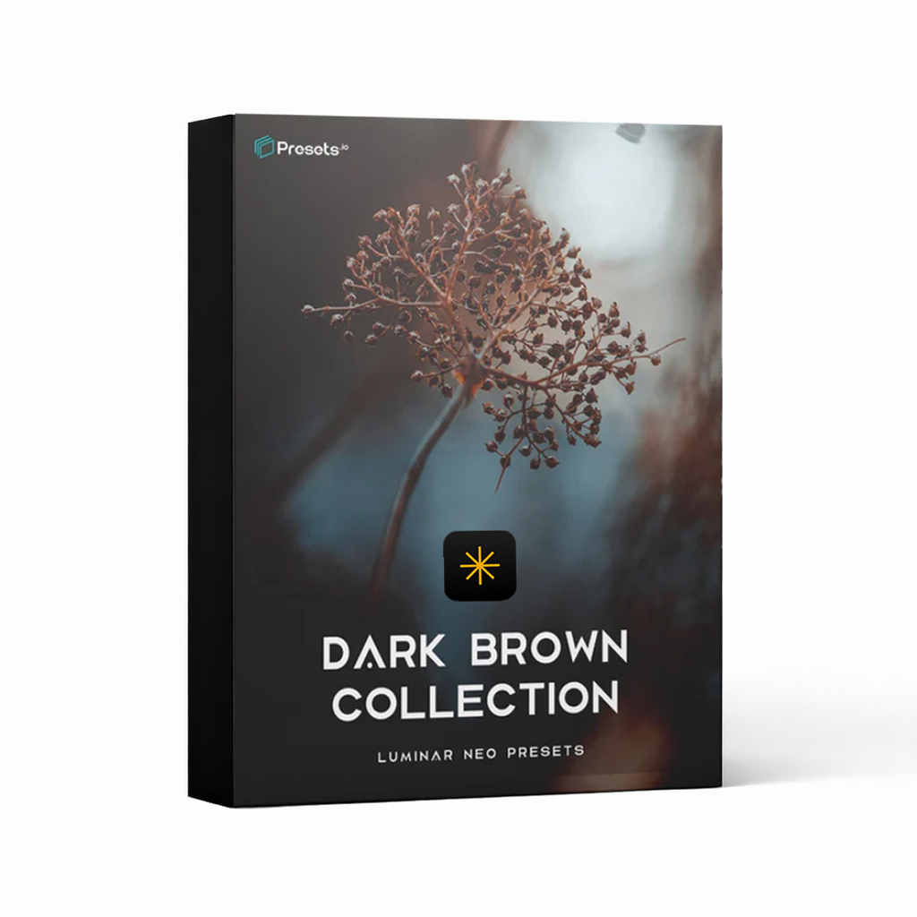 Dark Brown - Luminar NEO Presets