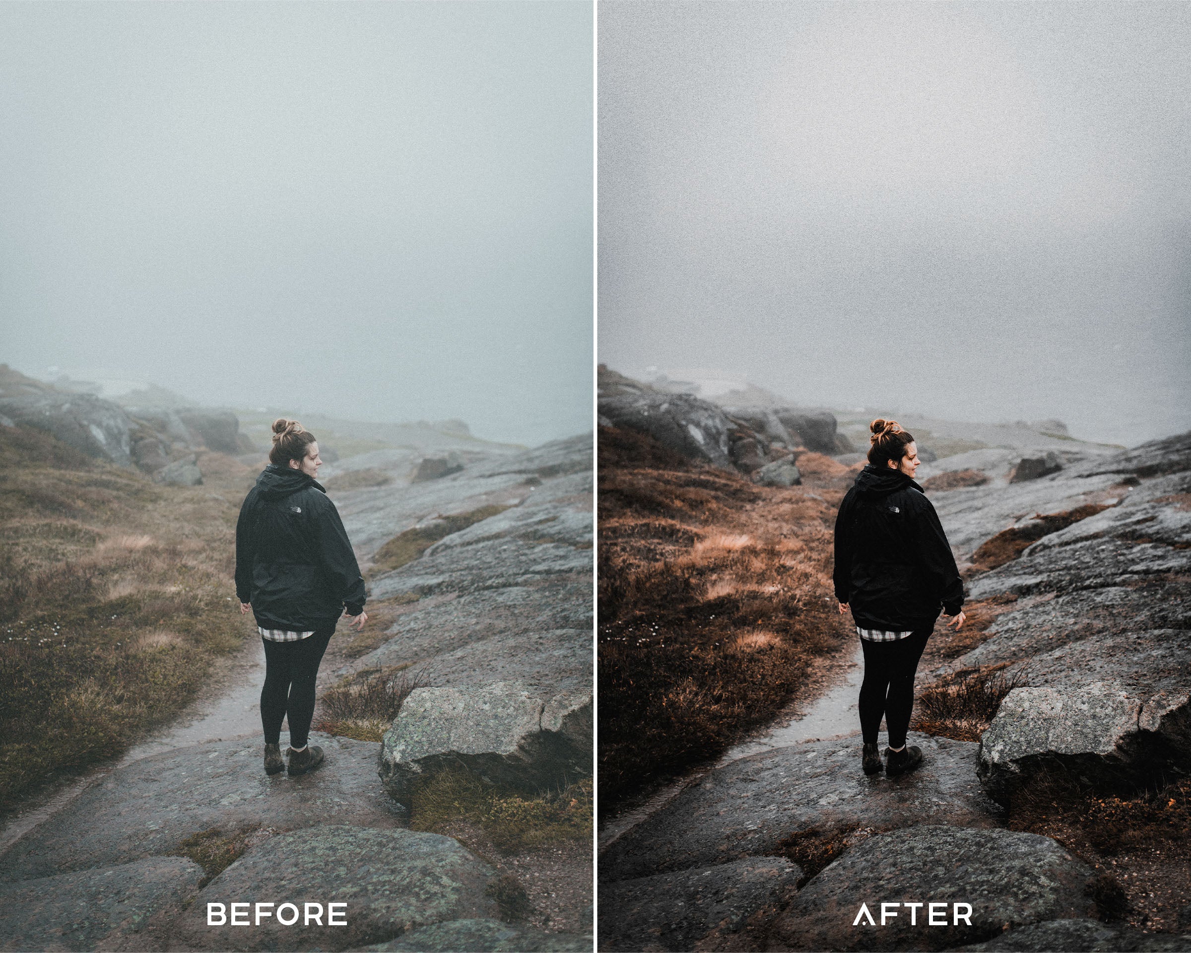 Cine Filmx Preset Collection