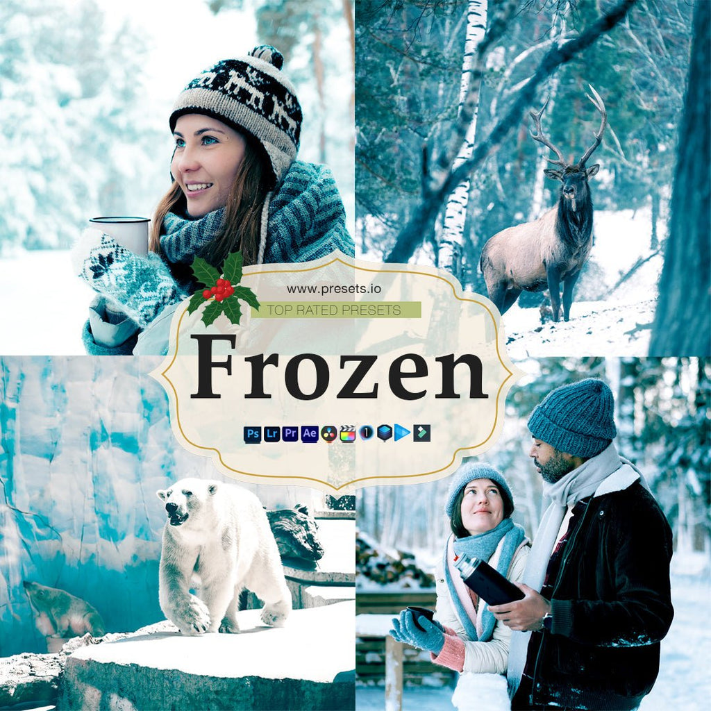 Frozen Preset Collection - Presets.io