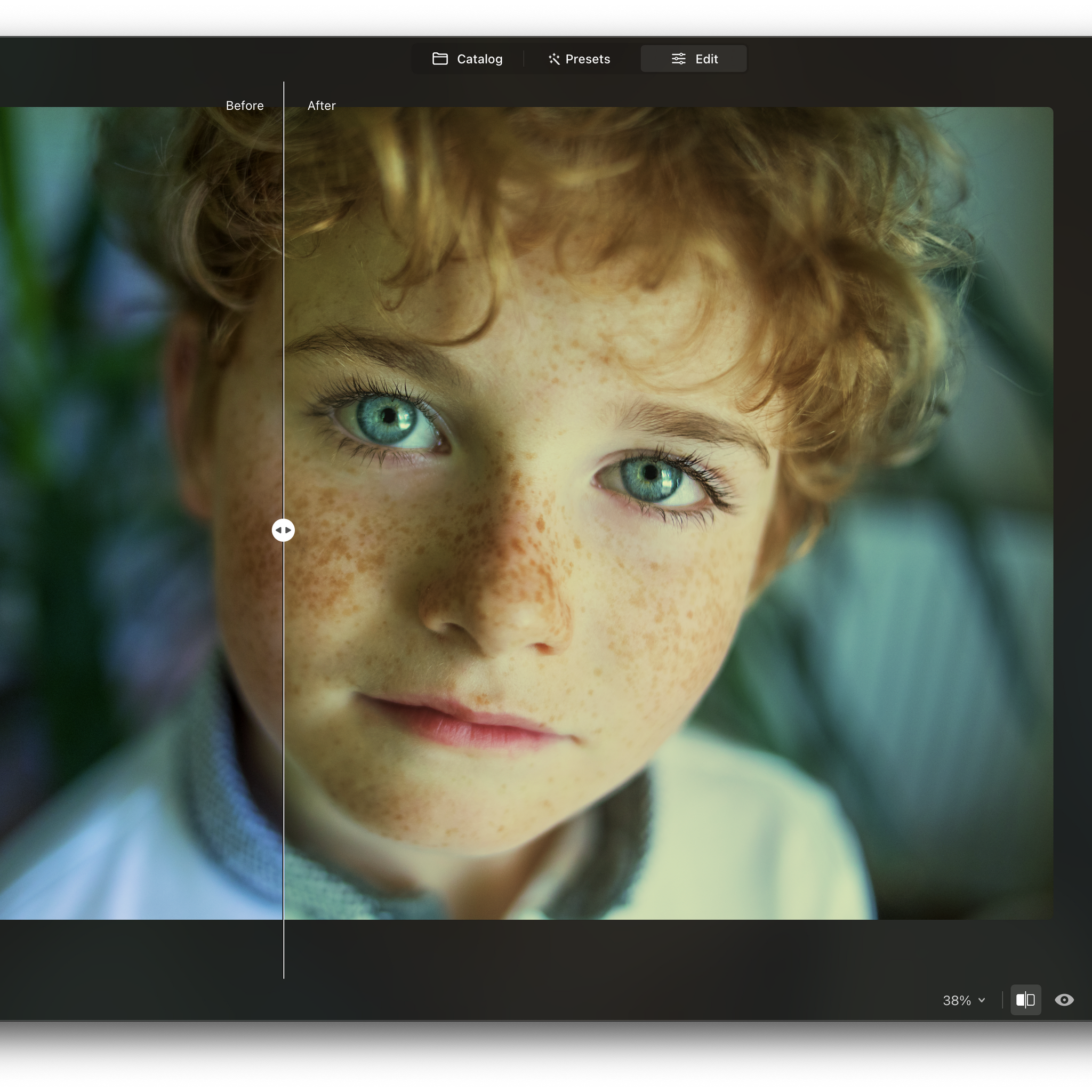 Luminar NEO Perpetual Desktop Software
